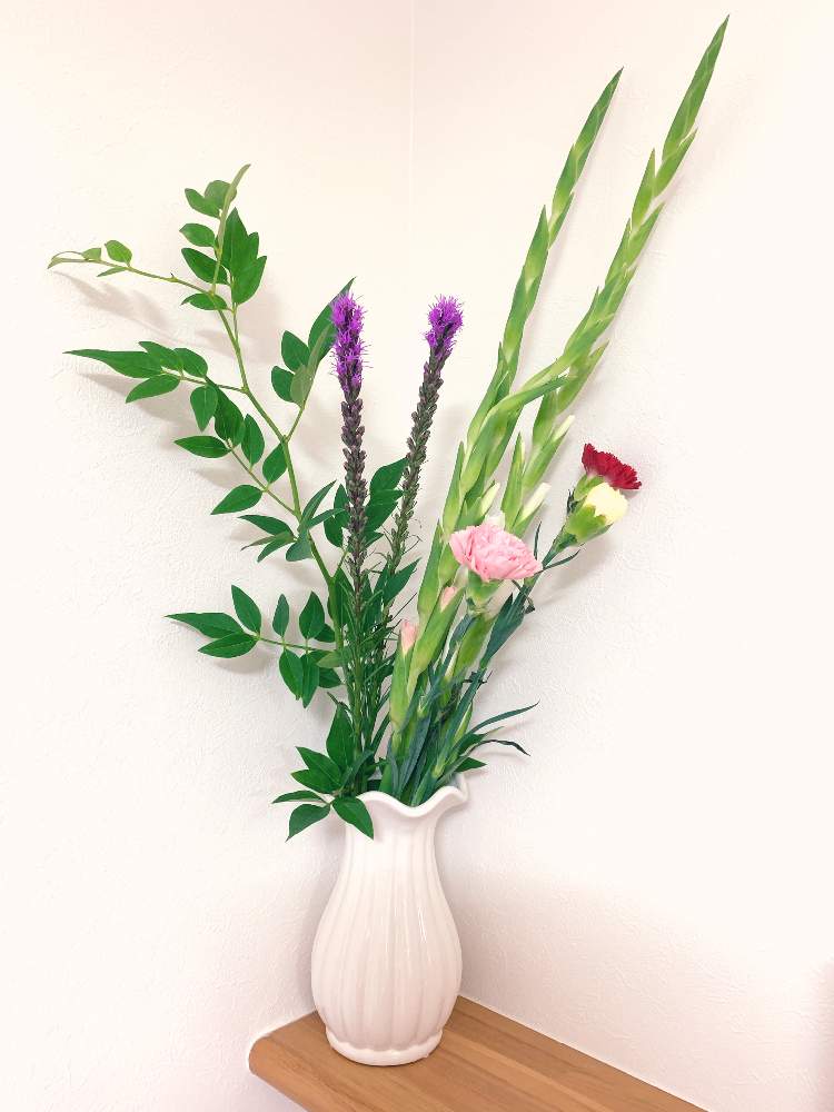 グラジオラスの投稿画像 By Fzkさん リアトリスとソケイと花瓶と花のある暮らしとお花の定期便とカーネーションと部屋と花瓶と花のある暮らしとお花の定期便 月7月15日 Greensnap グリーンスナップ Greensnap グリーンスナップ