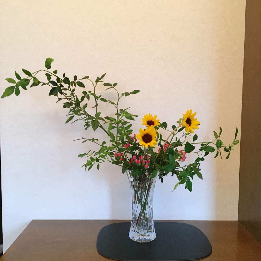 ヒペリカムの投稿画像 By けいかずさん ソケイとひまわりと花のある生活と黄色の花といけばなとフラワーアレンジメントと花のある暮らしと生け花と玄関と花のある生活と黄色の花といけばなとフラワーアレンジメントと花のある暮らしと生け花 月7月18日