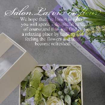 Boxフラワーの投稿画像一覧 Greensnap グリーンスナップ