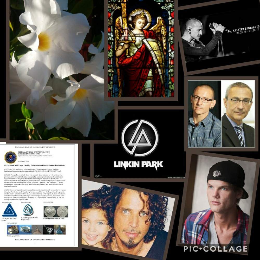 サンパラソル マンデビラの投稿画像 By ユキリンさん 広い庭とサンパラソル マンデビラ 月7月日 Greensnap グリーンスナップ Greensnap グリーンスナップ