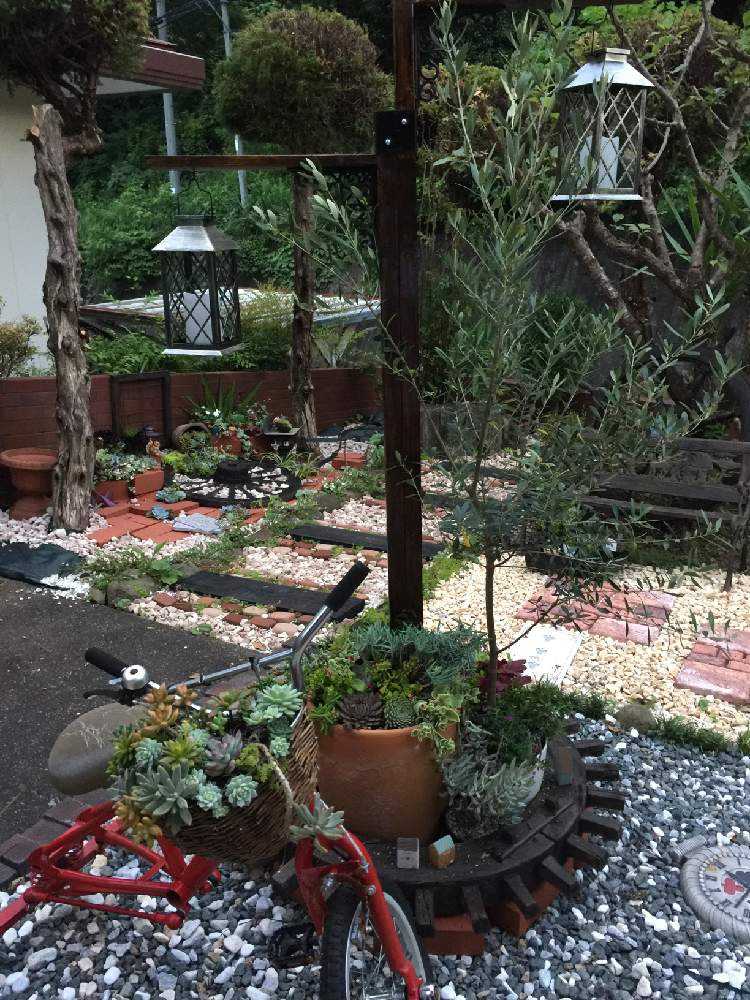 実家の庭改造プロジェクト続き Greensnap グリーンスナップ