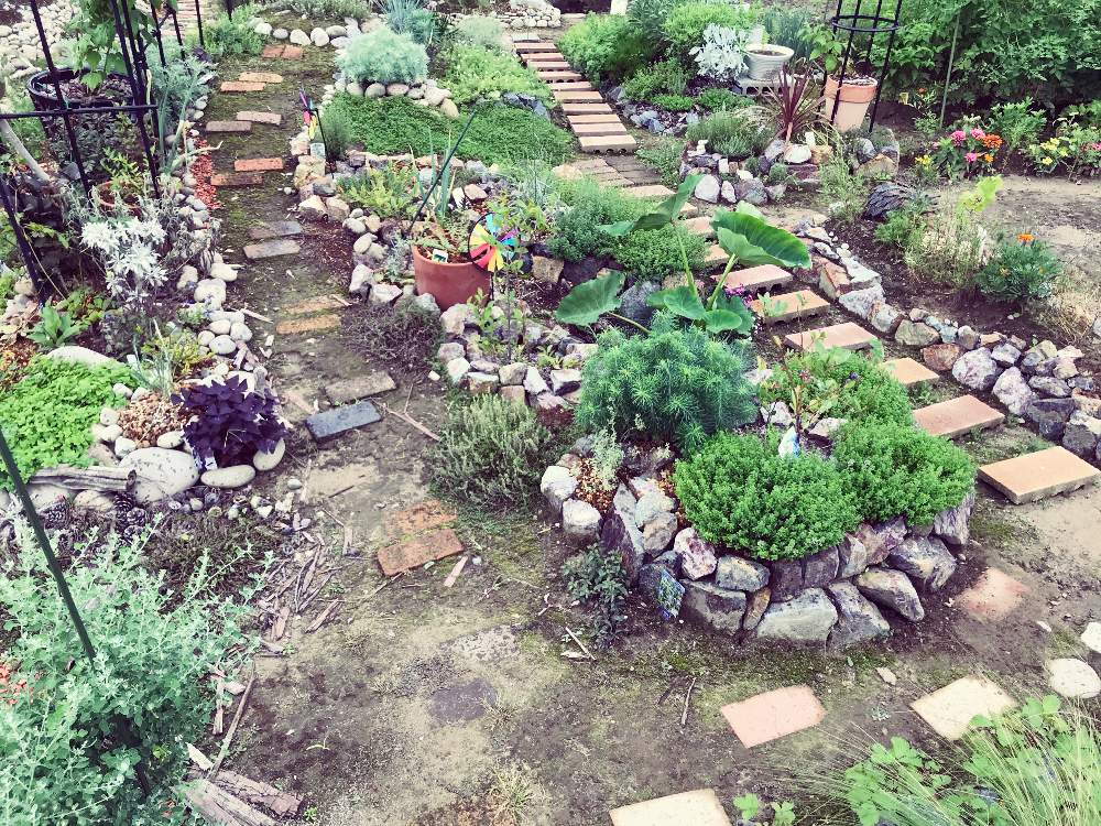 ハーブ園の投稿画像 By お庭のねこさん ロックガーデンとお庭造り 記録と宿根草の庭 月7月23日 Greensnap グリーンスナップ
