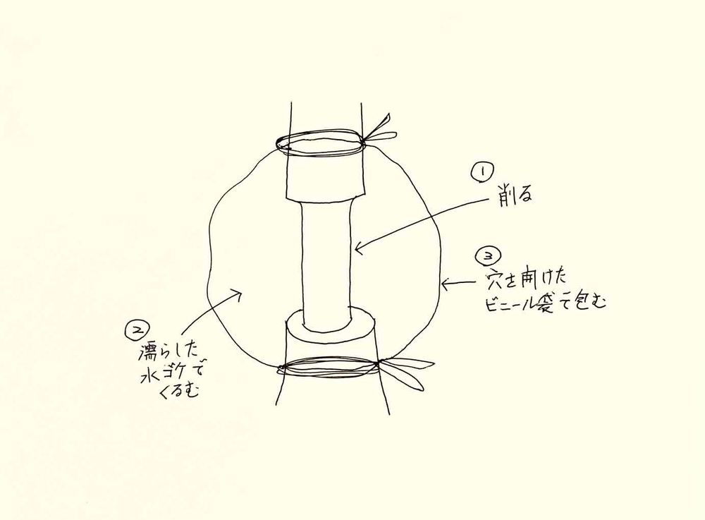 「取り木」はなぜ可能か？｜🍀GreenSnap（グリーンスナップ）
