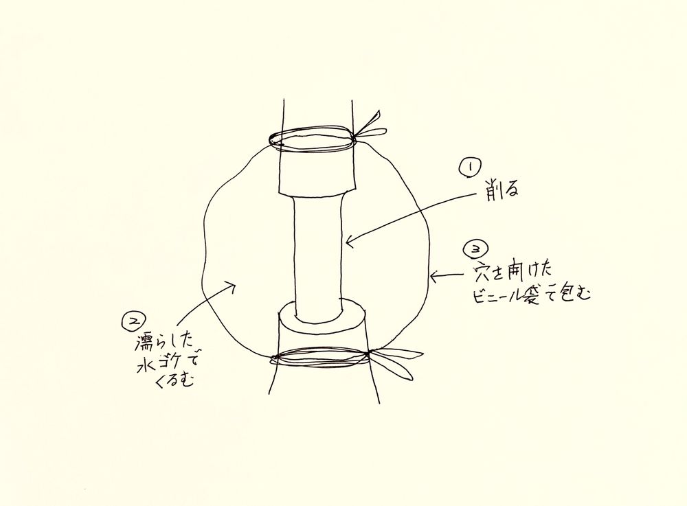 「取り木」はなぜ可能か?|🍀GreenSnap(グリーンスナップ)