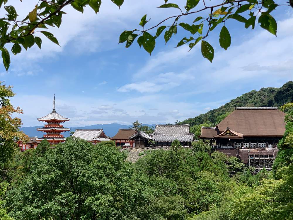 京都 八坂神社から清水寺へお散歩 春 初夏 Greensnap グリーンスナップ