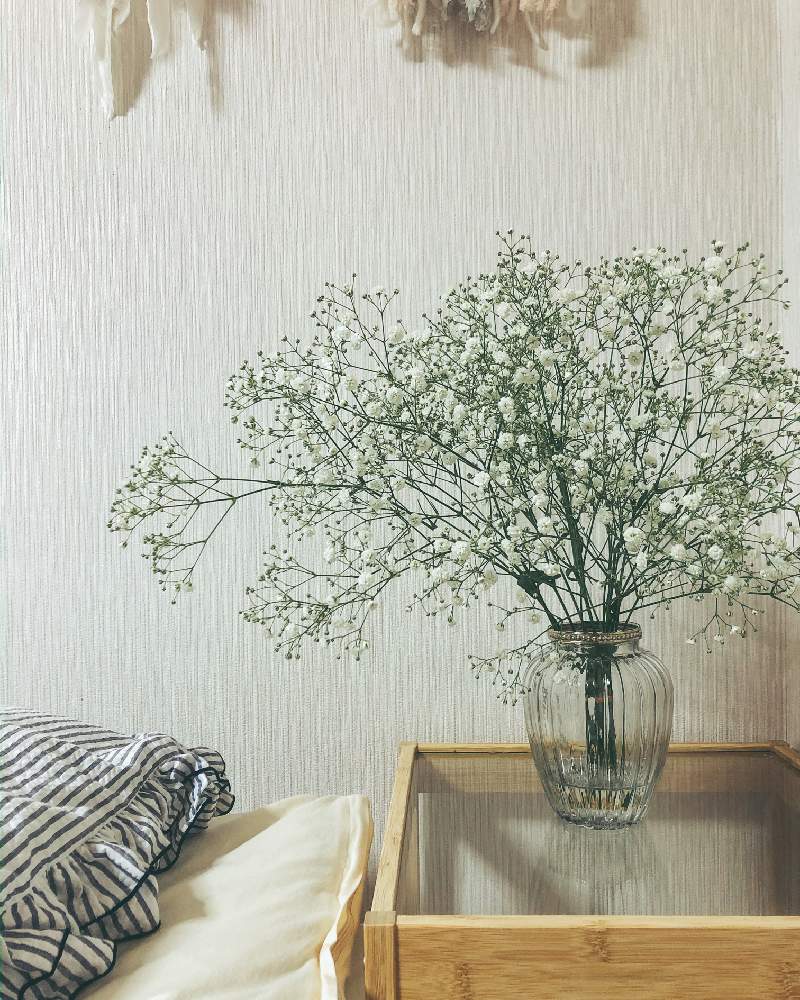 かすみ草の投稿画像 By Omiutoisaさん 部屋と花のある暮らしと花のある暮らし 月7月26日 Greensnap グリーンスナップ Greensnap グリーンスナップ