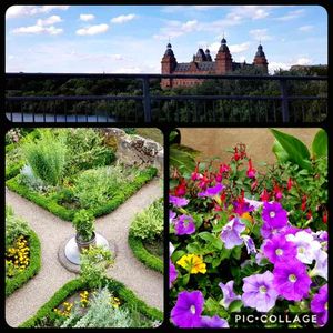 ペチュニア,寄せ植え,ガーデン,テラコッタ,お城の画像