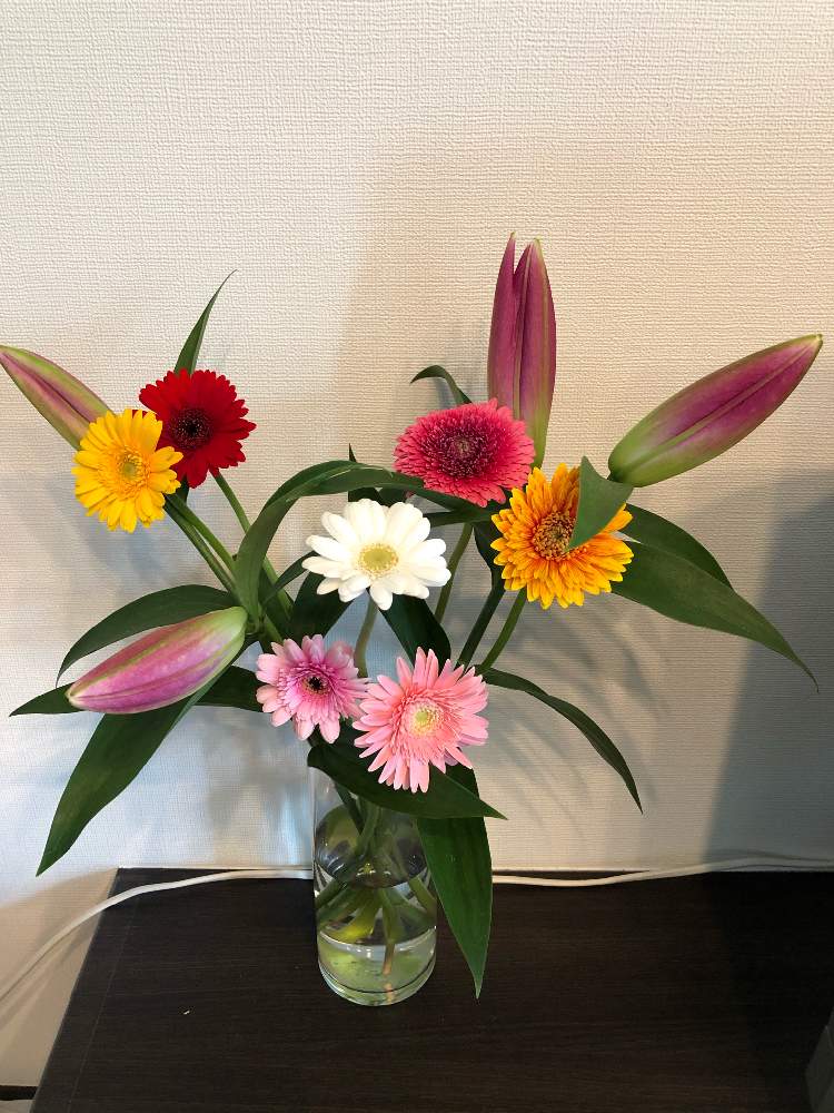 癒しの投稿画像 By 花々さん 花のある暮らしと花と暮らすとリビングに花を飾ろう 月7月27日 Greensnap グリーンスナップ
