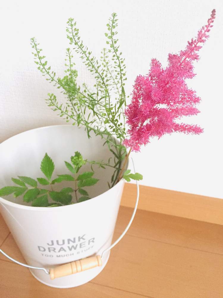 アスチルベの投稿画像 By ともよさん ハナノヒとイングリッシュガーデンと花のある暮らしとお花のある生活と日比谷花壇と切り花 とナズナとインテリアとハナノヒとイングリッシュガーデンと花のある暮らしとお花のある生活と日比谷花壇と切り花 月7月28日