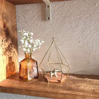 お花摘みの画像 by kotoriさん | 棚と棚DIYとDIYのある暮らしとお花摘みとDIYと壁リメイクと小瓶