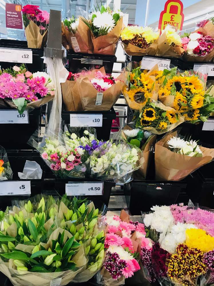スコットランドのスーパーマーケットの花束の投稿画像 By Momoscotlandさん イギリスとスコットランドとスーパーマーケットの花 月7月30日 Greensnap グリーンスナップ