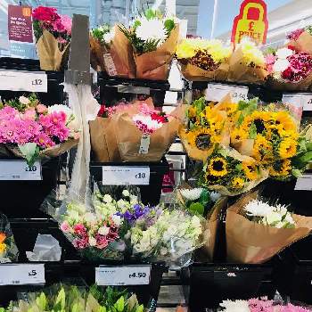スコットランドのスーパーマーケットの花束の投稿画像一覧 Greensnap グリーンスナップ
