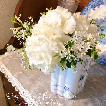 紫陽花アジサイあじさいの投稿画像一覧 Greensnap グリーンスナップ