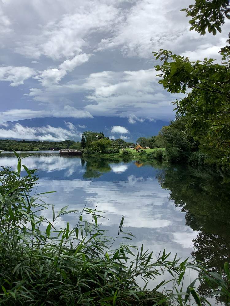 季節を楽しむの投稿画像 By しゅしゅさん 癒される と野草 雑草だって可愛いとおさんぽとちょっと遠出と自然の癒しとお散歩と田貫湖 月7月30日 Greensnap グリーンスナップ