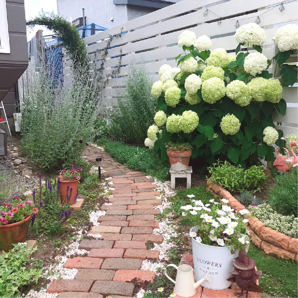 バラのアーチの投稿画像 By Kotoriさん Diyのある暮らしとお庭のお花とdiyと成長記録とガーデニングと花のある暮らしとお庭とpwフォトコン 月8月1日 Greensnap グリーンスナップ
