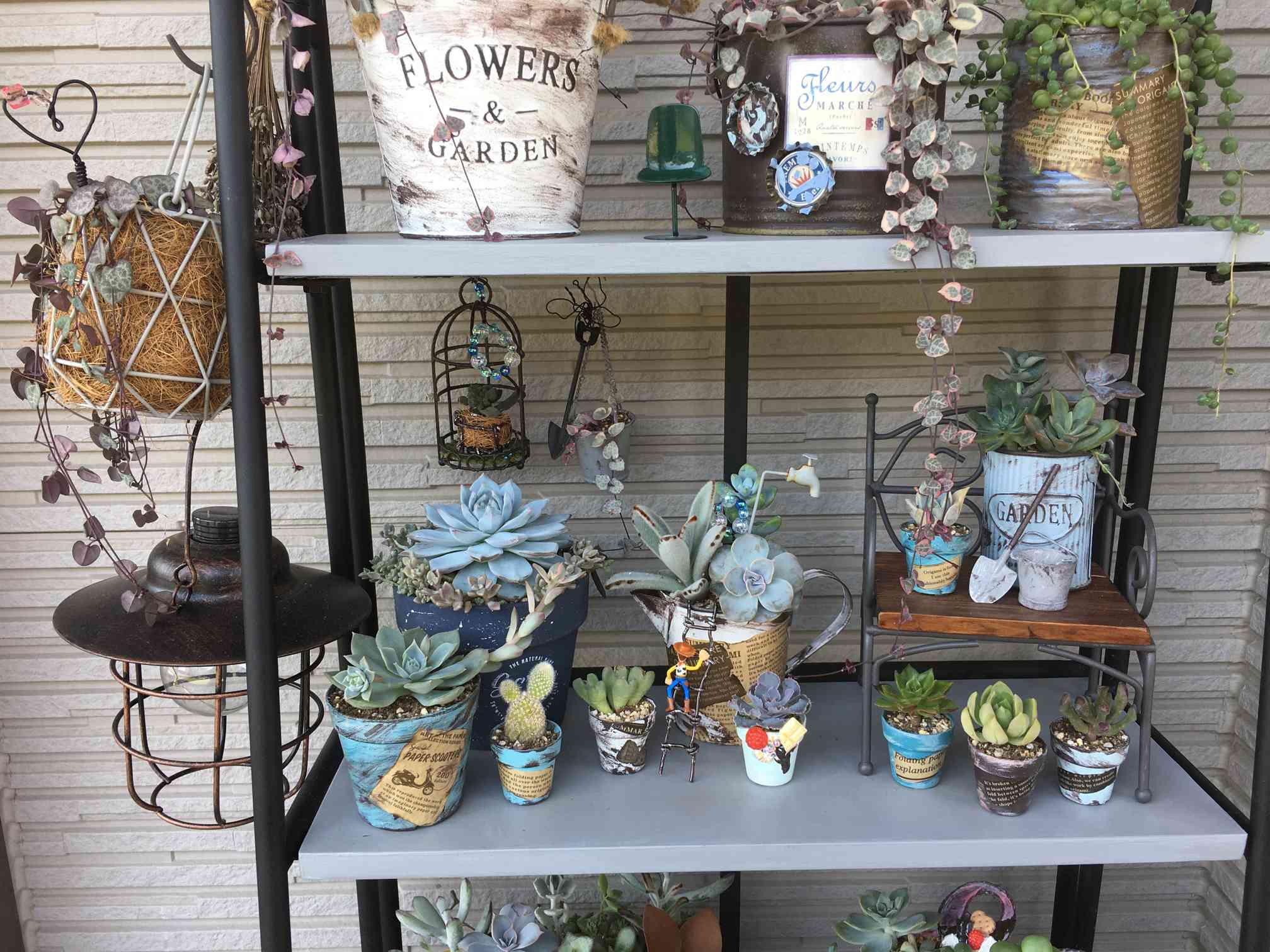 多肉植物リメイク缶小物入れ 多肉植物用リメイク鉢８個セット 多肉植物☆リメイク缶小物入れ リメ