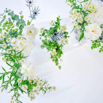 4月の花器の投稿画像一覧 Greensnap グリーンスナップ