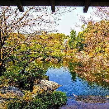 池のある風景の画像 by みいちゃんさん | お出かけ先と池のある風景と池に...と池のほとりと和風庭園と水の流れと日本庭園と和風の庭と庭園