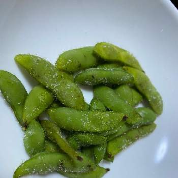 種から枝豆の投稿画像一覧 Greensnap グリーンスナップ