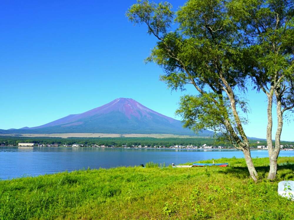 富士山の投稿画像 By Misaoiさん 山中湖 月8月5日 Greensnap グリーンスナップ