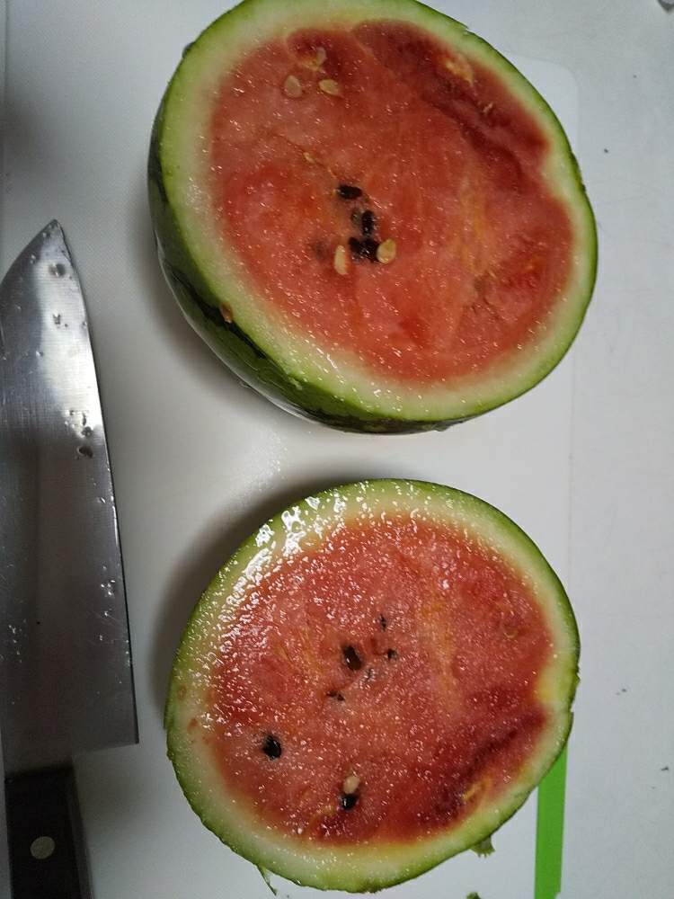 スイカの投稿画像 By Nbuさん プランターでスイカと家庭菜園とおうちde菜園と夏野菜収穫物とプランター栽培とグリーンスナップ初心者 月8月5日 Greensnap グリーンスナップ