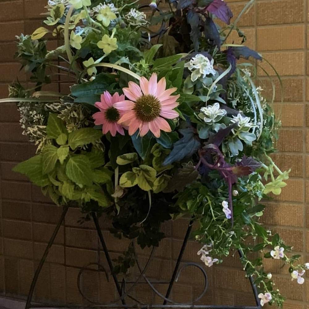 よせ植えの投稿画像 By Na Rotanさん ハンギングバスケットと夏の花壇とエキナセア と花が好きとよせ植えとハンギングバスケットと夏の花壇とエキナセア と花が好き 月8月6日 Greensnap グリーンスナップ Greensnap グリーンスナップ