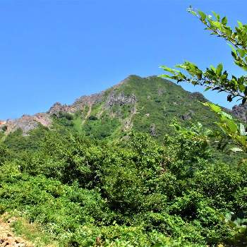 那須朝日岳の画像 by naoさん | 山野草とハイキング・登山と那須朝日岳