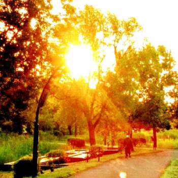 今朝の散策での画像 by m＆oさん | お出かけ先と東京都立水元公園と今朝の散策でと日の出4：50と夜明けと共に散策人