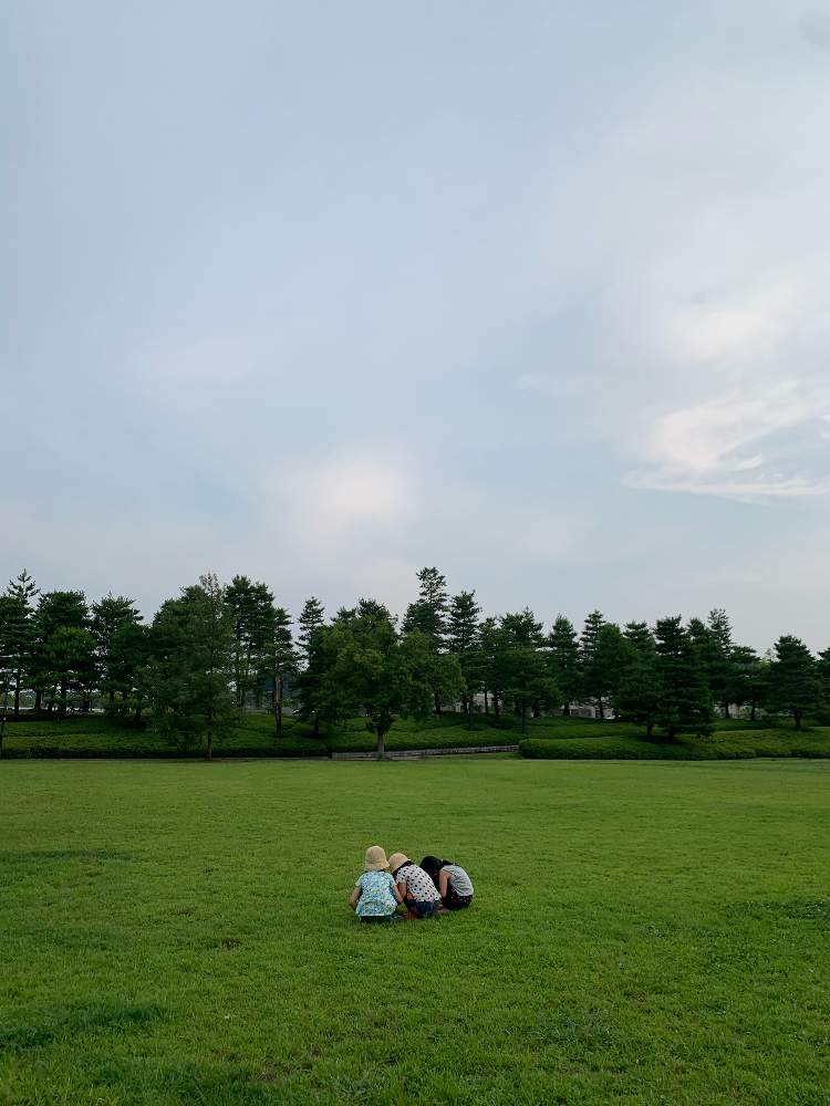 光葉さんの投稿画像 月8月8日 Greensnap グリーンスナップ