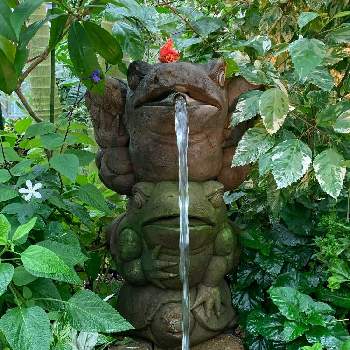 淡路夢舞台温室の投稿画像一覧 Greensnap グリーンスナップ