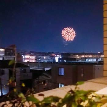 花火大会の投稿画像一覧 Greensnap グリーンスナップ