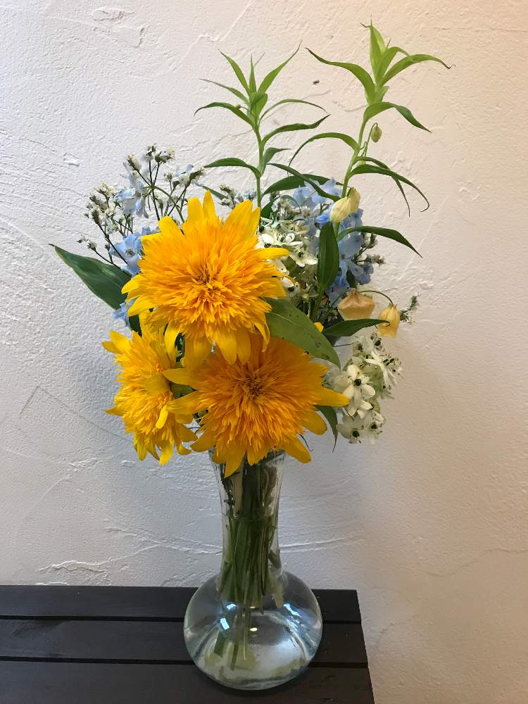 息子の誕生日の花束 Greensnap グリーンスナップ