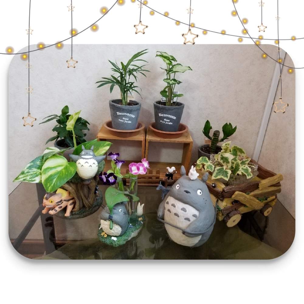 シンゴニウムの投稿画像 By Etsuさん テーブルヤシ とトレニアとポトスとカポックとアイビーとキングバンブーと観葉植物とお花に癒されるとちいさな幸せ とおうち園芸と緑のある暮らしと鉢植えとみどりに癒されると 花のある暮らしとトトロ 月8月14日 Greensnap