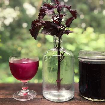 赤紫蘇ジュースの画像 by kimieさん | キッチンと赤紫蘇ジュースと果実酒