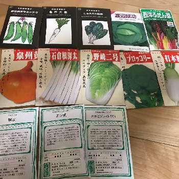 秋まき野菜の投稿画像一覧 Greensnap グリーンスナップ