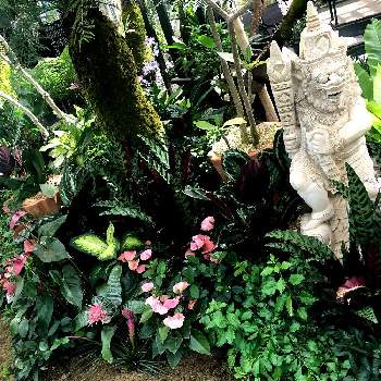 奇跡の星の植物館の画像 by 空花（くうか）さん | お出かけ先と奇跡の星の植物館と淡路島