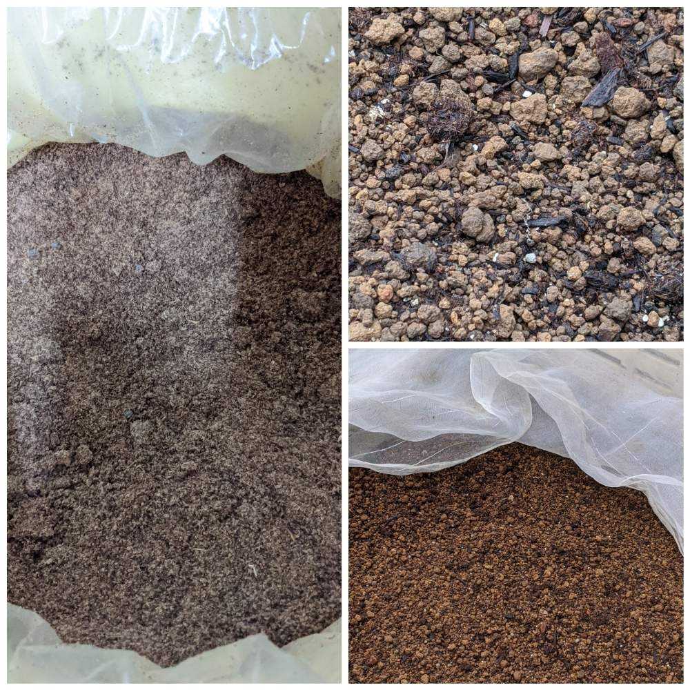 私のバラ庭作りpart2 Greensnap グリーンスナップ