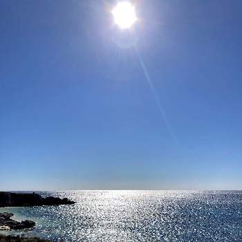 青い海の画像 by さぼさぼさん | お出かけ先とサイクリングとロットネスト島と太陽サンサンと魅力的と素敵な色とインド洋とオーストラリアと思い出と青い海