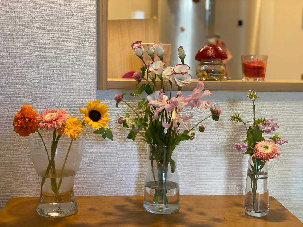 今日のイイハナ Greensnap グリーンスナップ