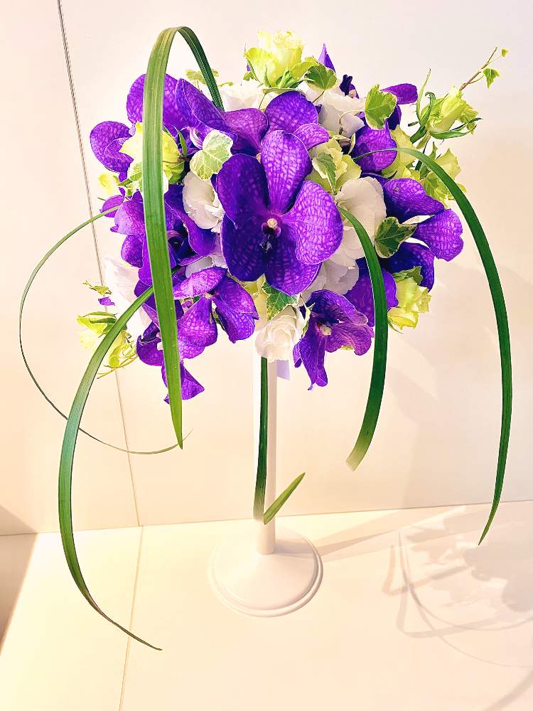 シャワーブーケの投稿画像 By Loccaさん ばら バラ 薔薇とアイビー とトルコキキョウ とミスカンサス とワイヤリングブーケとブーケと花のある暮らしとバンダ蘭 と癒しのひと時 月8月22日 Greensnap グリーンスナップ