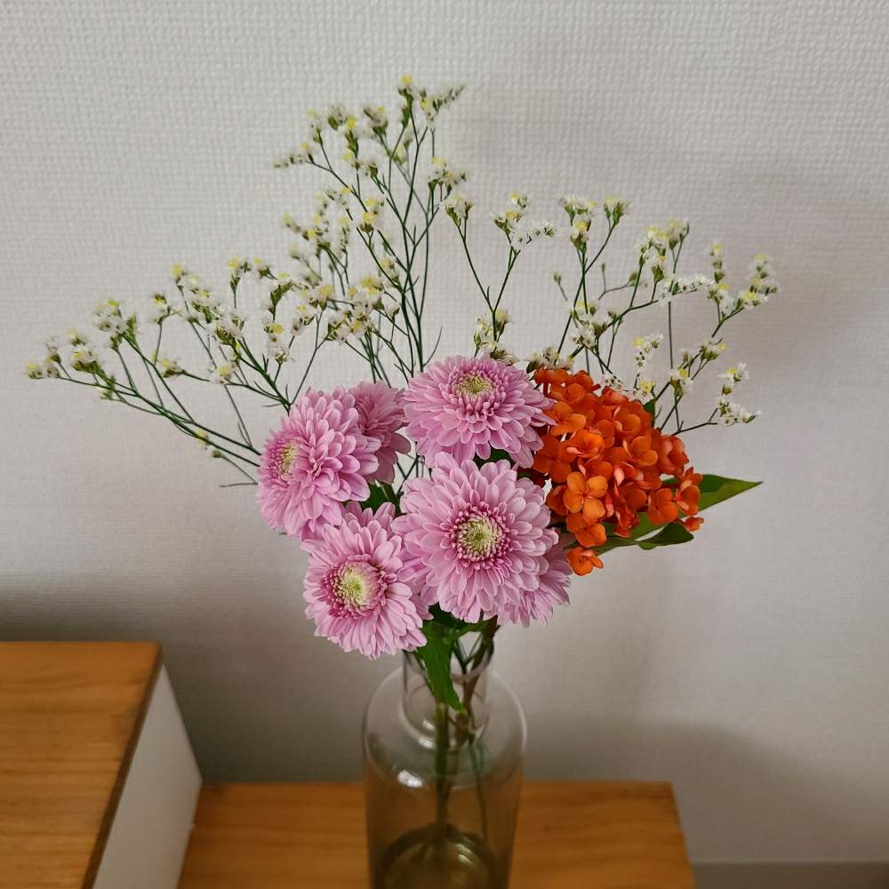 サンタンカの投稿画像 By Ayyyさん スプレーマムとスターチス 月8月23日 Greensnap グリーンスナップ