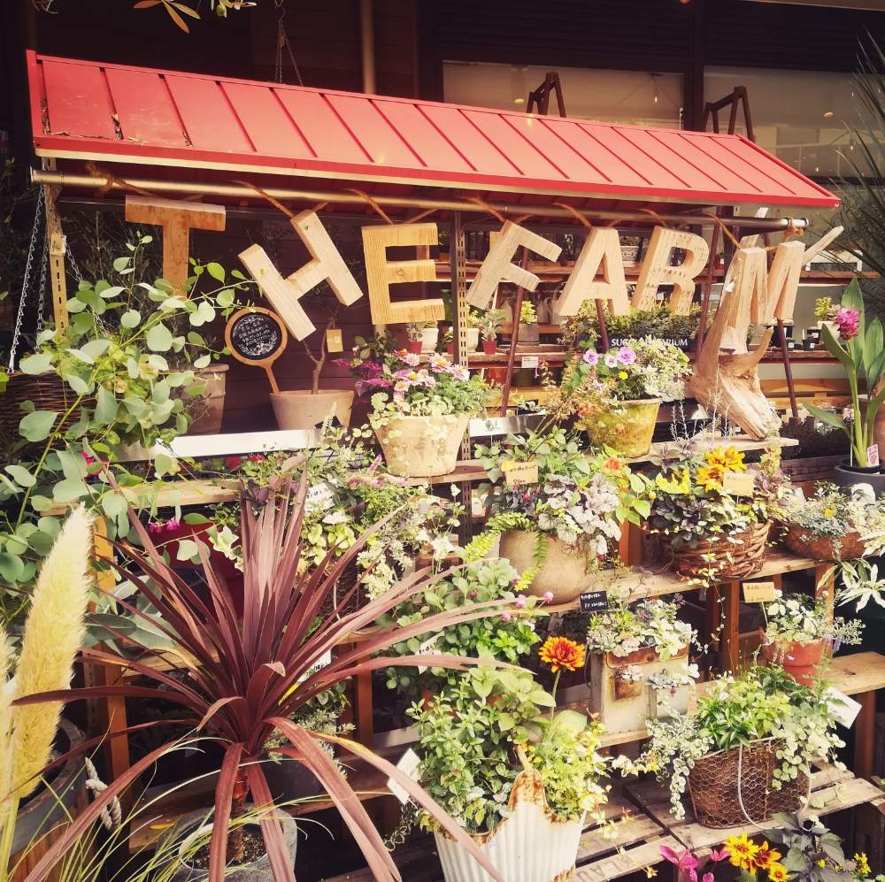 お出かけ先の投稿画像 By Marineさん 南町田グランベリーパークと園芸店の店先と園芸ショップとお気に入りの場所と園芸店とthe Farm Universalと南町田グランベリーパークと園芸店の店先と園芸ショップとお気に入りの場所と園芸店とthe Farm Universal 月8月23日
