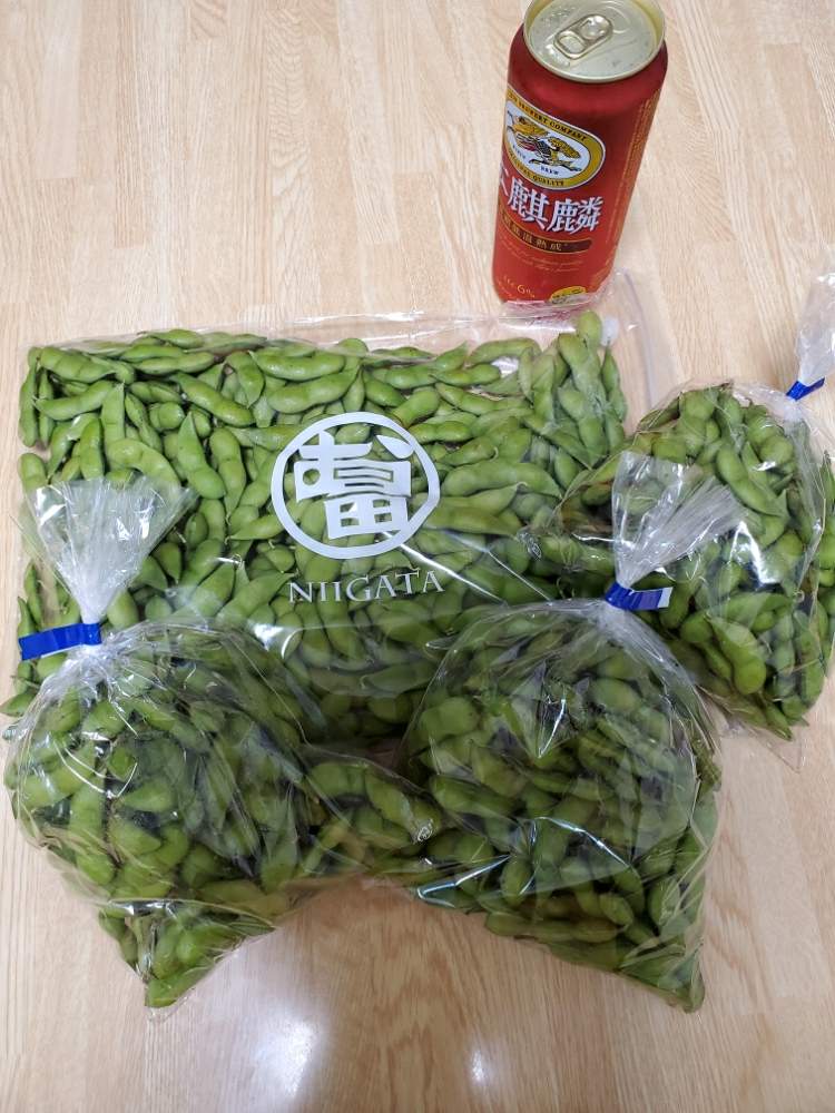 俳句の投稿画像 By 塩こんぶさん 枝豆 茶豆 月8月24日 Greensnap グリーンスナップ