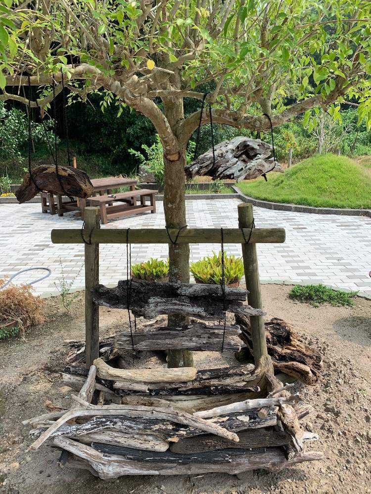 流木プランターと多肉植物の寄せ植え用の鉢作製 Greensnap グリーンスナップ