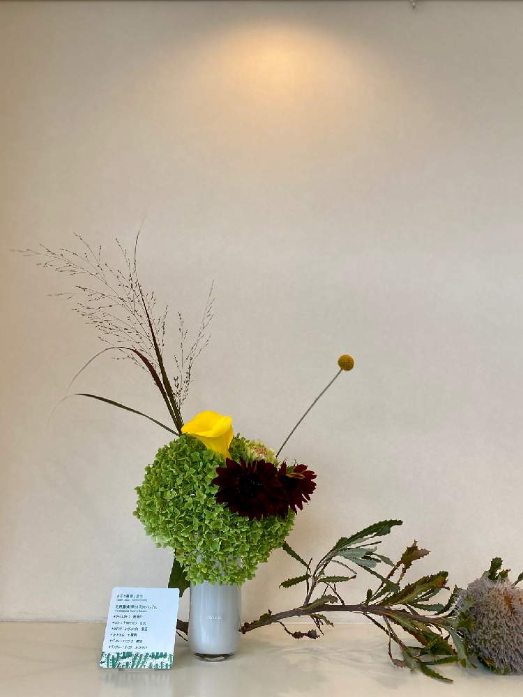 クラスペディアの投稿画像 By Watacoさん ヒマワリ ムーランルージュとアナベル グリーンとパニカム チョコラータとカラーゴールドクラウンとバンクシアボーエリとみんな笑顔と素敵なアレンジと花活け定期便と花のある暮らしと職場にお花を 月8月26日 Greensnap