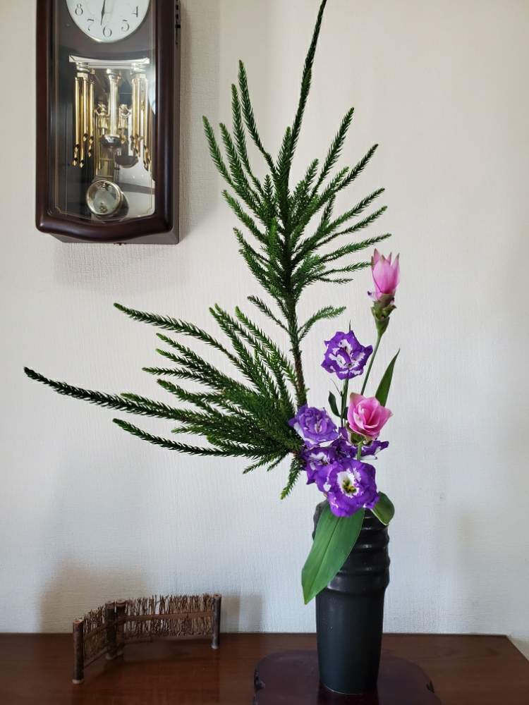 クルクマの投稿画像 By Colorさん トルコキキョウとエンコ杉と小原流とお花のある暮らしといけばなとお花は癒しと生け花 月8月26日 Greensnap グリーンスナップ