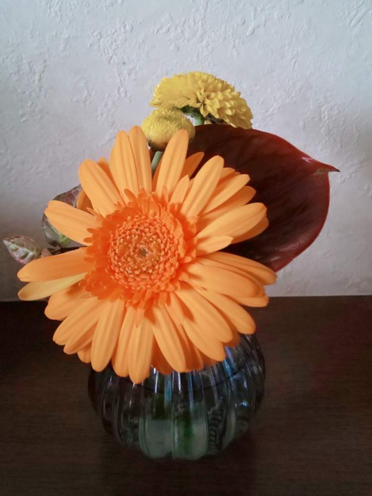アンスリウムの投稿画像 By ハイオクさん ガーベラと花のある暮らしと魔法の花瓶 月8月29日 Greensnap グリーンスナップ