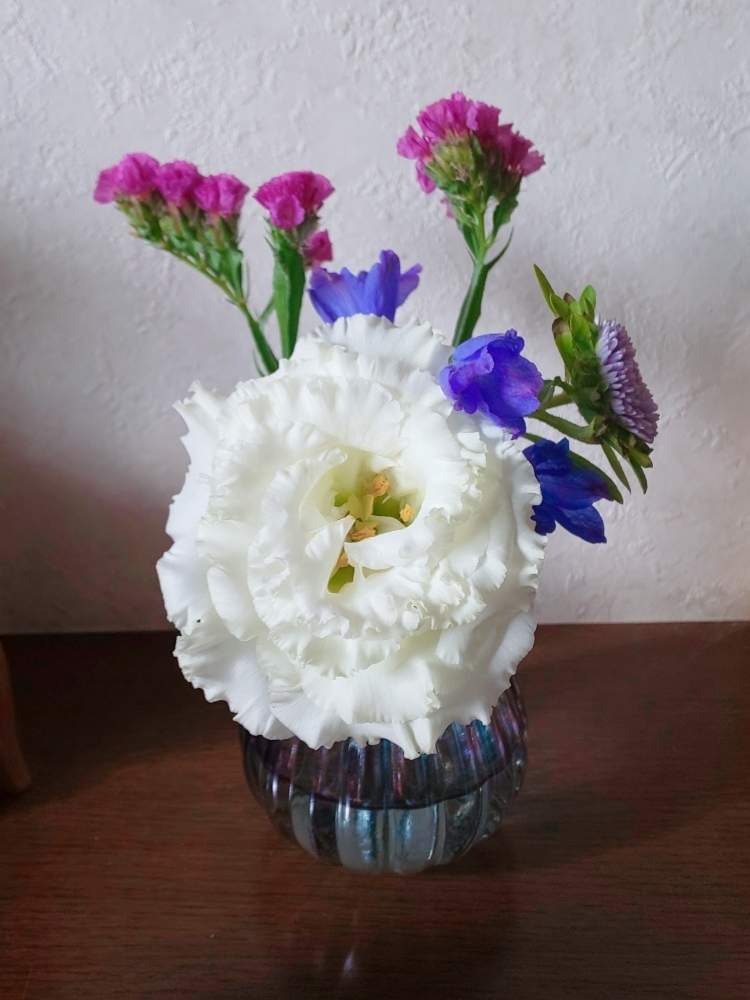 スターチスの投稿画像 By ハイオクさん トルコキキョウとリンドウと花のある暮らしと魔法の花瓶 月8月29日 Greensnap グリーンスナップ
