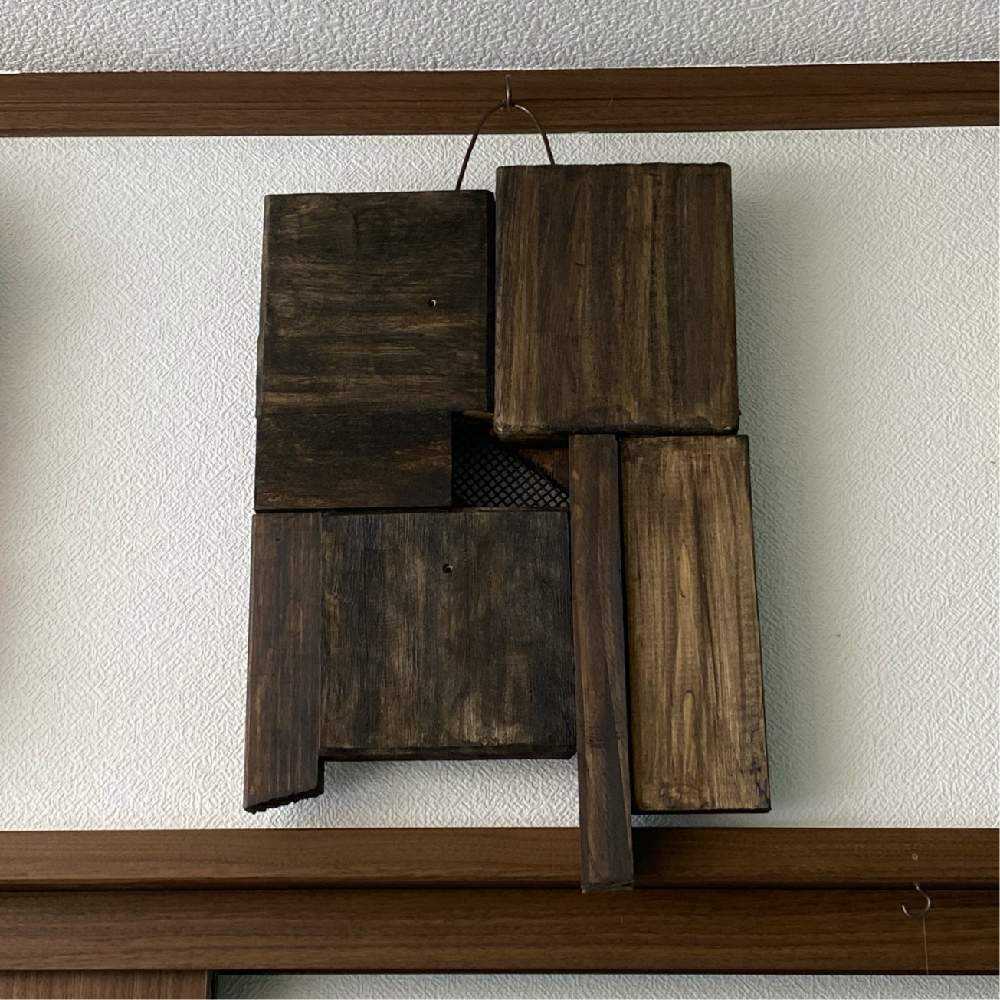 P. Horne's Surprise 成長記録 2025.2.12｜🍀GreenSnap（グリーン