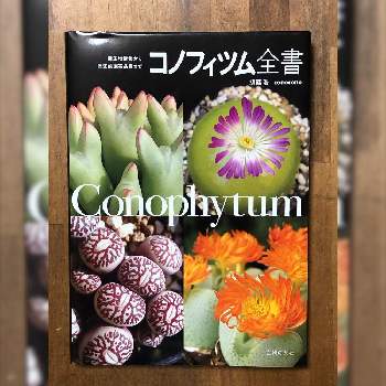 参考書籍の投稿画像一覧 Greensnap グリーンスナップ 参考書籍の投稿画像一覧 Greensnap グリーンスナップ